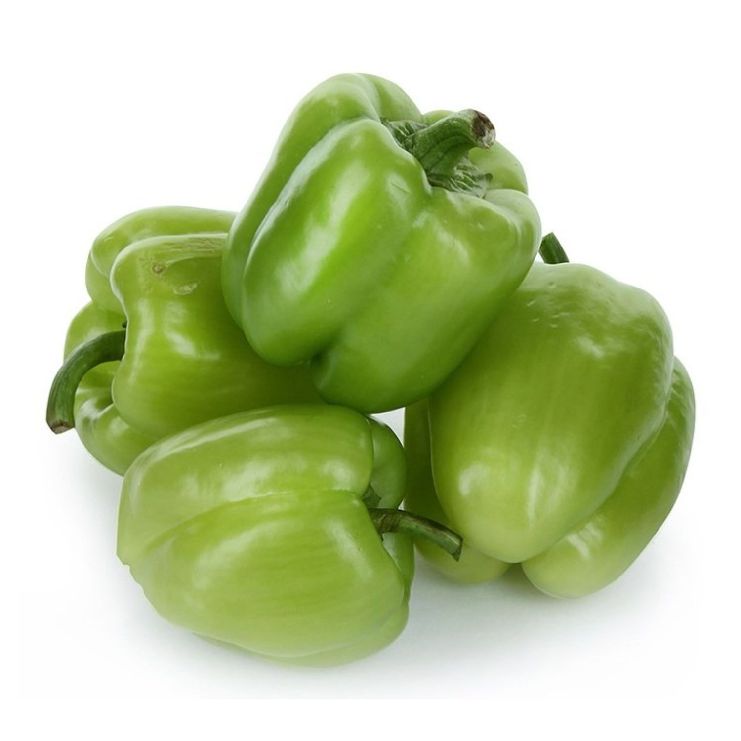 Dolma Biber kg